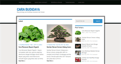 Desktop Screenshot of nusabudidaya.com