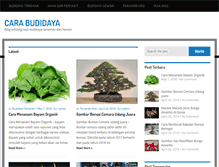 Tablet Screenshot of nusabudidaya.com